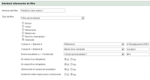 filtro-analytics-palabras-clave-reales1